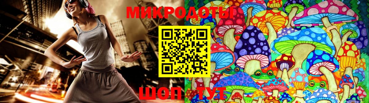Людиново  Галлюциногенные грибы Psilocybine cubensis  Вход с VPN 